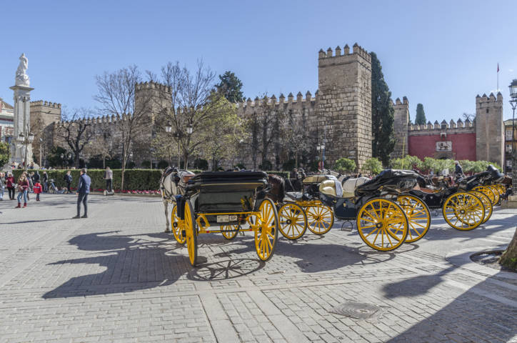 Sevilla 061 - Real Álcazar.jpg
